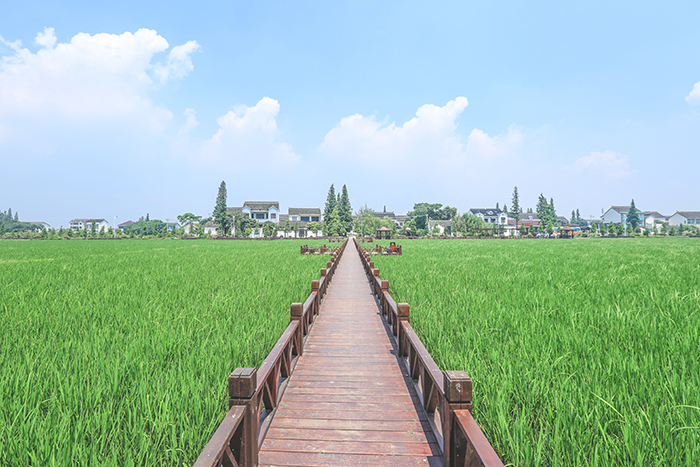 自然環(huán)境