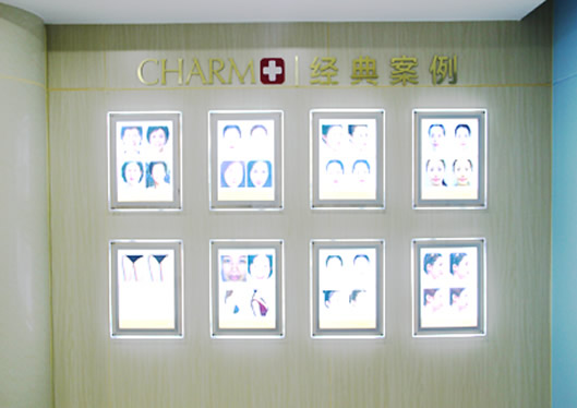 經(jīng)典案例墻