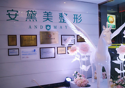 廈門安黛美一角