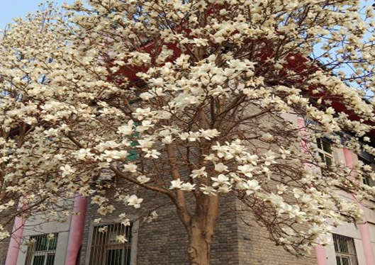 醫(yī)院內環(huán)境