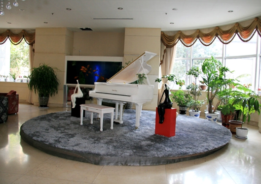 沈陽杏林整形外科醫(yī)院一角