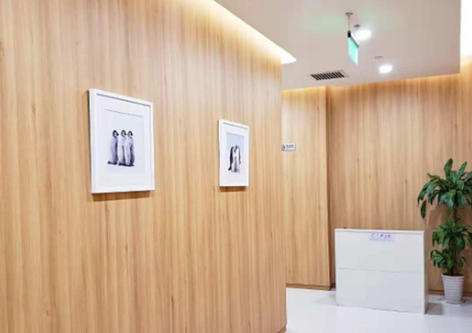 藝術(shù)走廊一