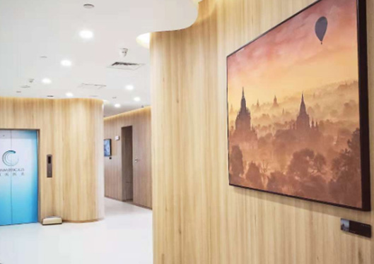 藝術(shù)走廊三